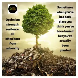 Oak Tree representing resilience