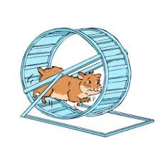 Hamster wheel representing thriving or surviving